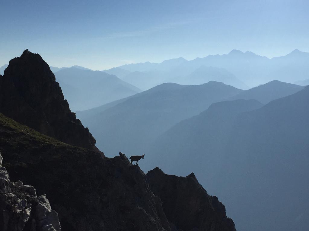 Alpenhaus Monte Hotel Neustift im Stubaital Luaran gambar